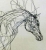 Equine wire sculpture by Elizabeth