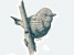 Yellow Warbler