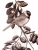 A-Flirtin'- Blackcapped Chickadee
