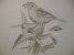 Step 4