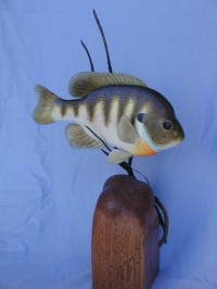 Bluegill wood sculpture