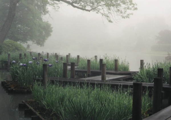 Spirit Walk at MO Botanical Gardens
