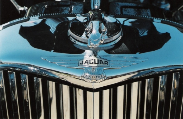 Jaguar Sparkle