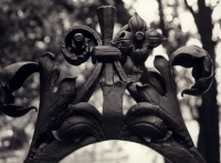 Wrought Iron Fence