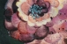 Painted Flower Bloom