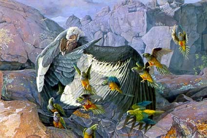 Andean Condor & Patagonian Conures Andean Condor & Patagonian Conures