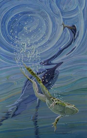 Southern Leopard Frog & Tricolored H Southern Leopard Frog & Tricolored H