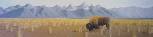 What a Day What a Day