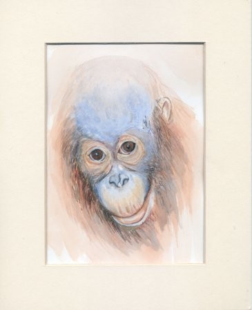 Baby Orang/Watercolour