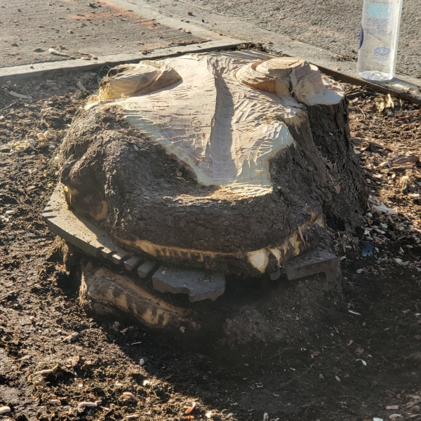 East Village crocodile