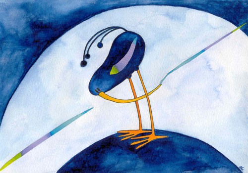 Rainbow bird