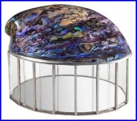 polished paua seashell box