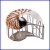natural nautilus seashell box