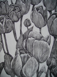 Untitled Art