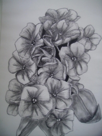 Untitled Art