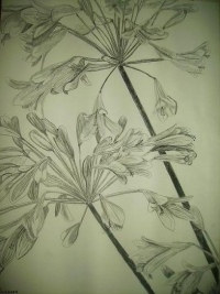 Untitled Art