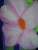Untitled Art