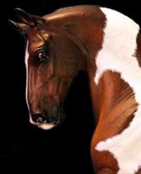 resin warmblood horse sculpture resin warmblood horse sculpture