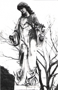 Guardian Angel