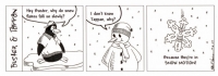 Snow Motion